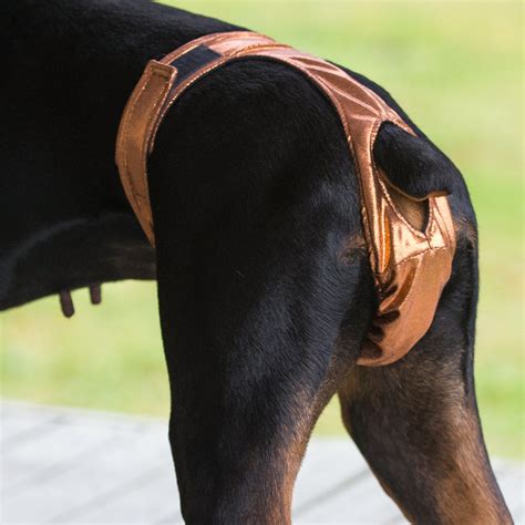 Thongs for DogsTM